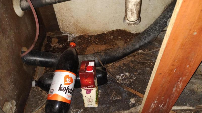 Ilustrační fotografie č. 3