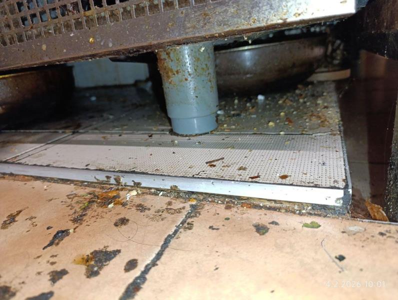 Ilustrační fotografie č. 9