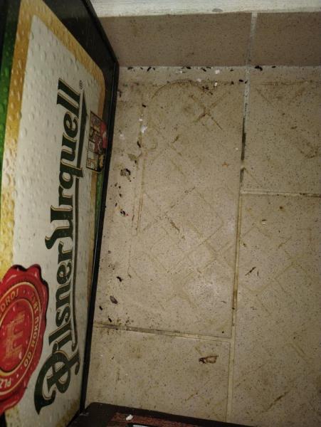 Ilustrační fotografie č. 12