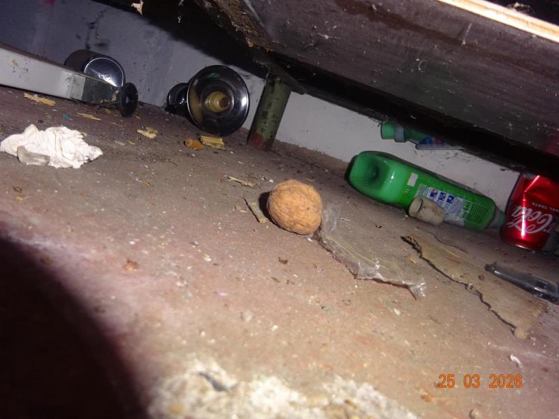 Ilustrační fotografie č. 12