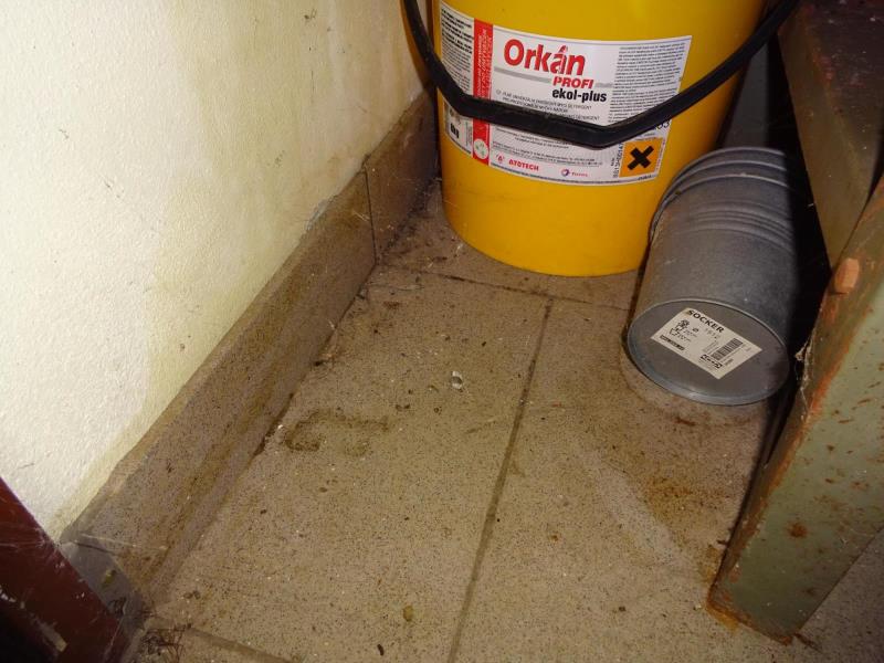 Illustrative photo no. 4