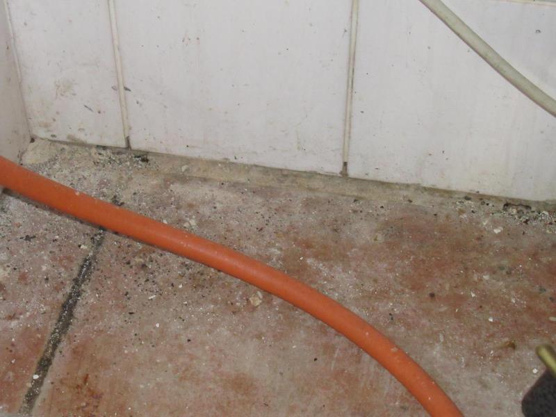 Ilustrační fotografie č. 7