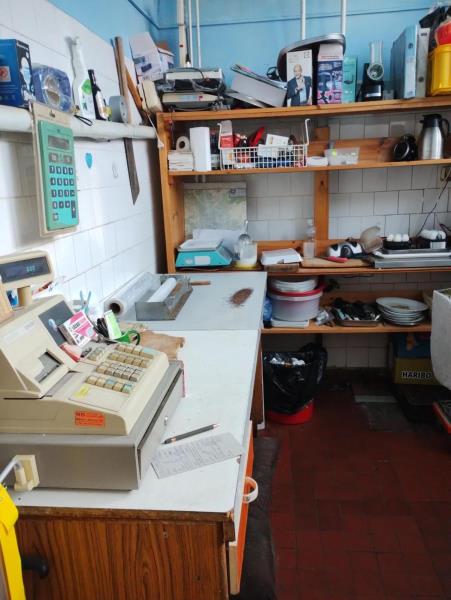 Ilustrační fotografie č. 5