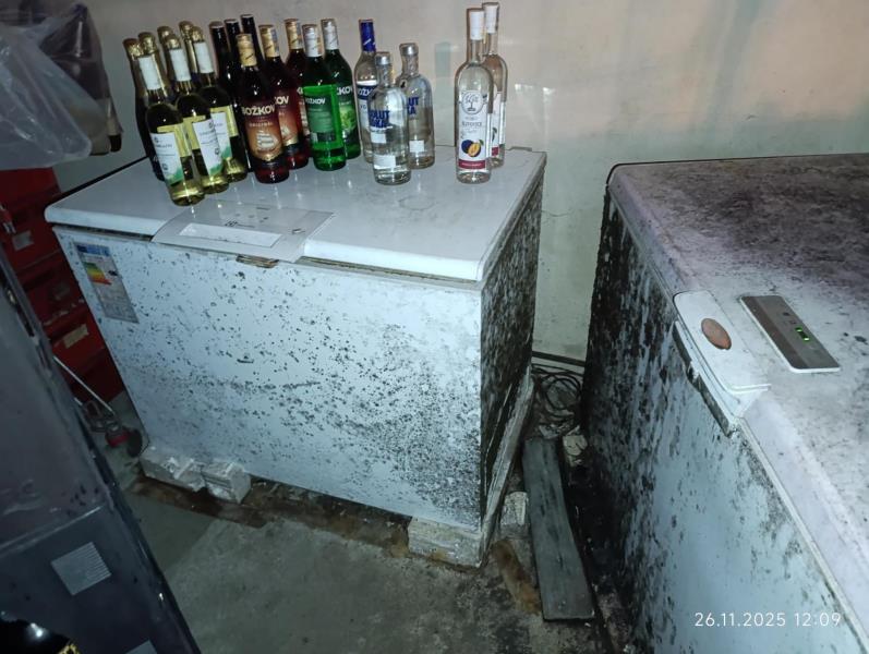 Ilustrační fotografie č. 11