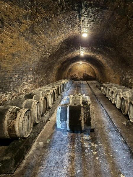 Ilustrační fotografie č. 8