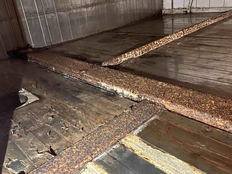 Ilustrační fotografie č. 4