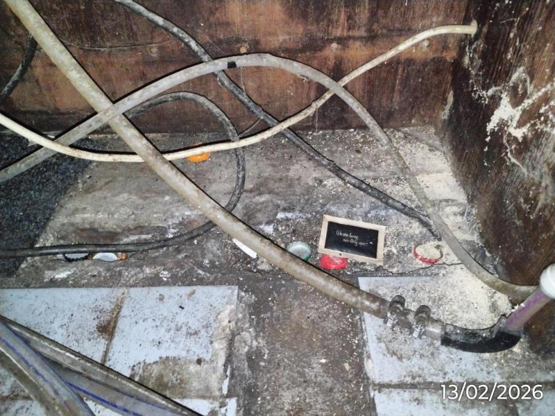 Ilustrační fotografie č. 14