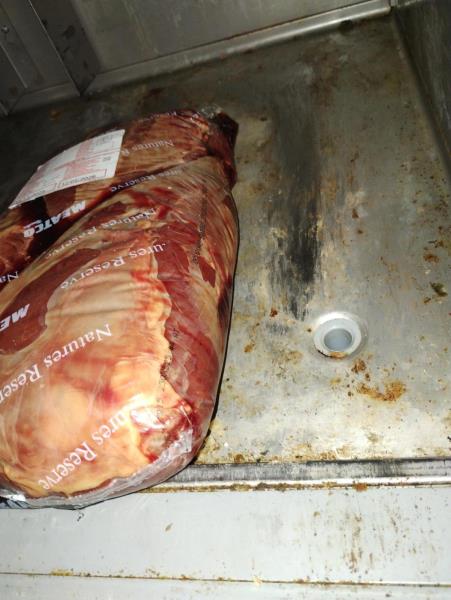 Ilustrační fotografie č. 13