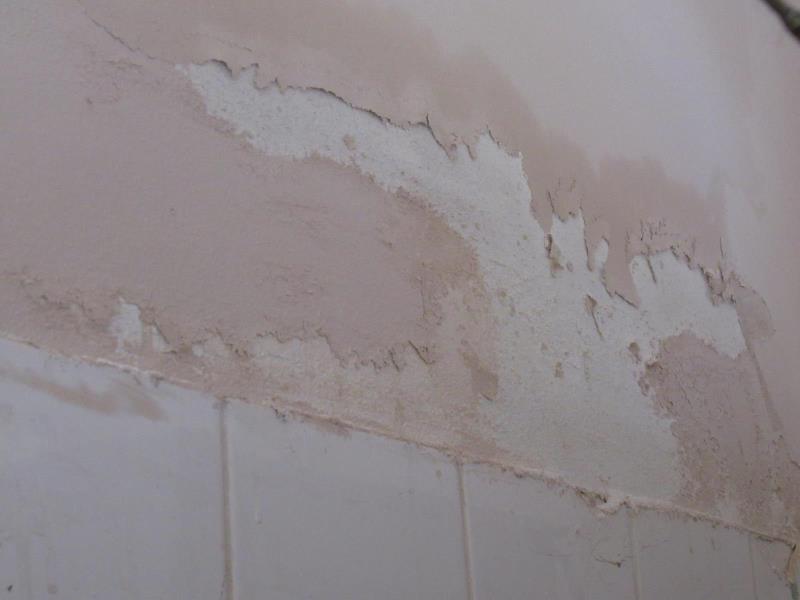 Ilustrační fotografie č. 10