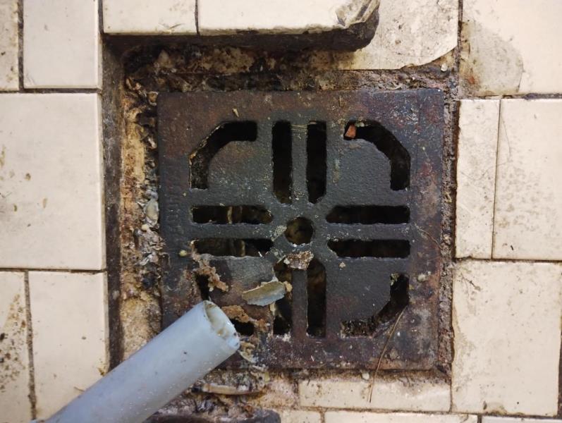 Ilustrační fotografie č. 10