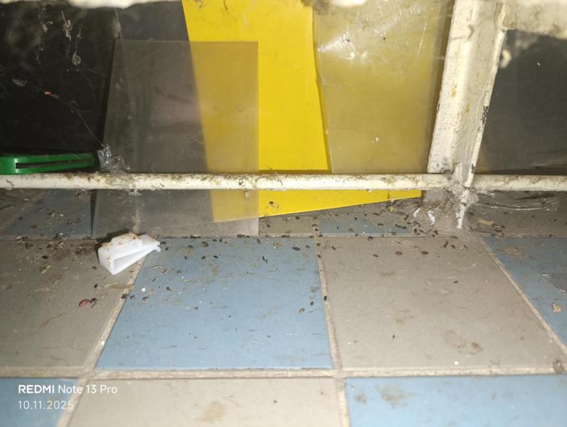 Ilustrační fotografie č. 8