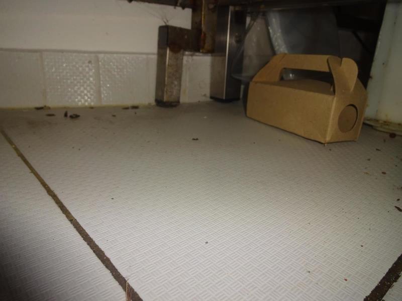 Ilustrační fotografie č. 10