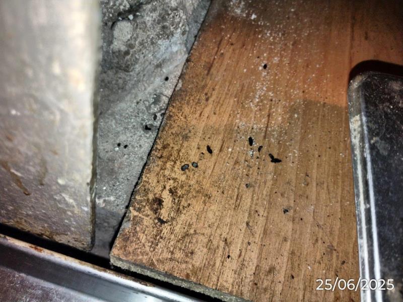 Ilustrační fotografie č. 10