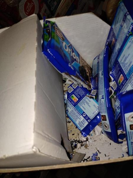 Ilustrační fotografie č. 3