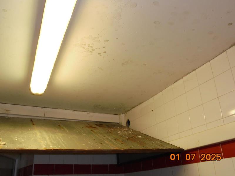 Illustrative photo no. 6