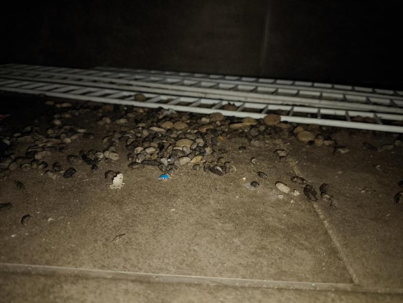 Ilustrační fotografie č. 10