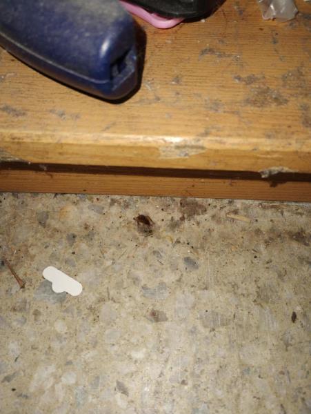 Ilustrační fotografie č. 15