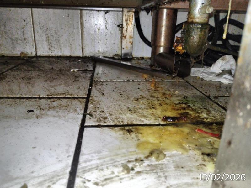 Ilustrační fotografie č. 4