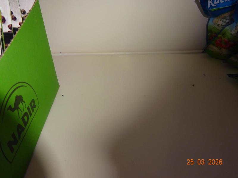 Ilustrační fotografie č. 16