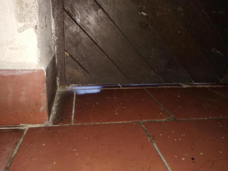 Ilustrační fotografie č. 3