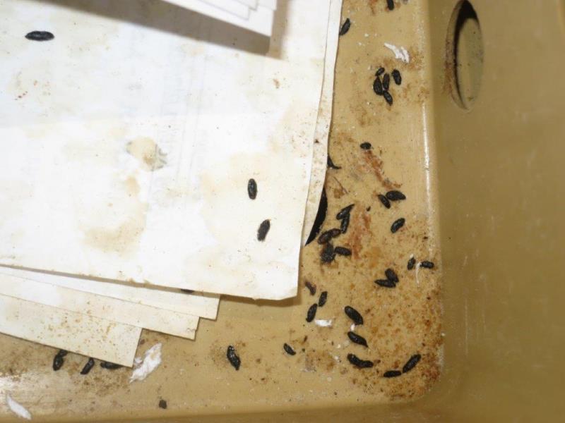 Ilustrační fotografie č. 5