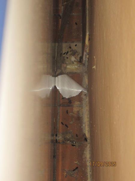 Ilustrační fotografie č. 10