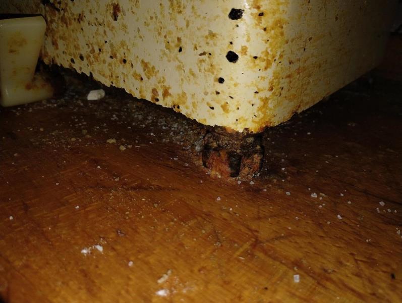 Ilustrační fotografie č. 11