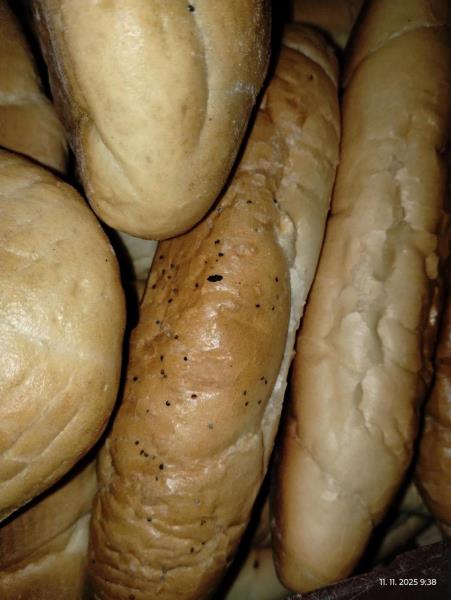 Ilustrační fotografie č. 9