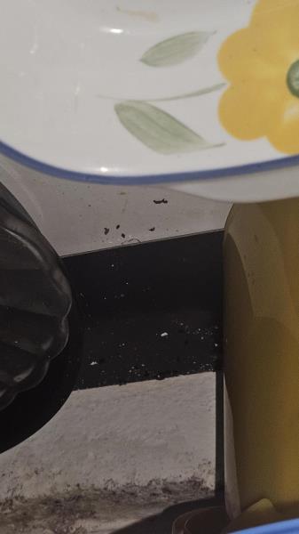 Illustrative photo no. 13