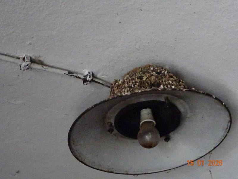 Ilustrační fotografie č. 9