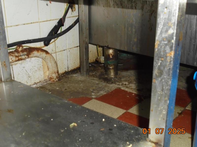 Illustrative photo no. 7