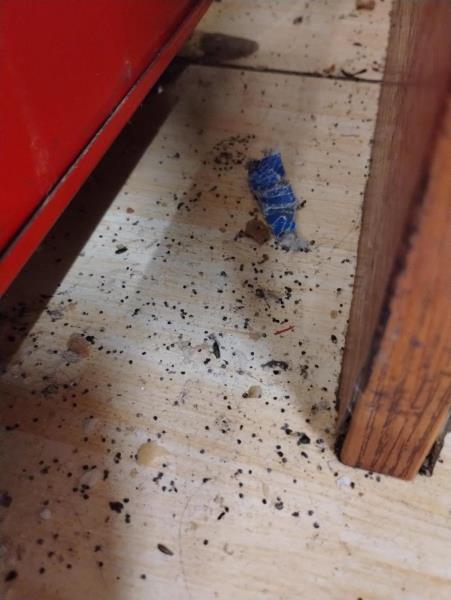 Ilustrační fotografie č. 15