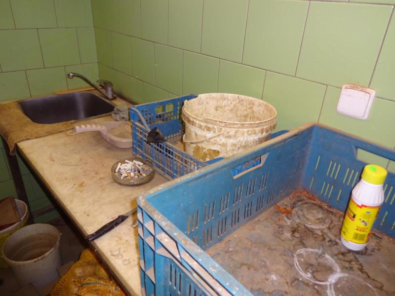 Illustrative photo no. 2