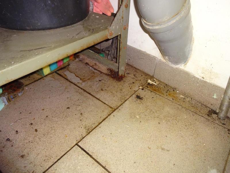 Illustrative photo no. 3