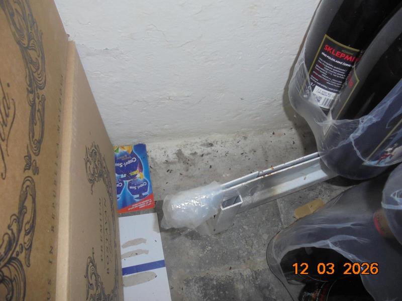 Ilustrační fotografie č. 10