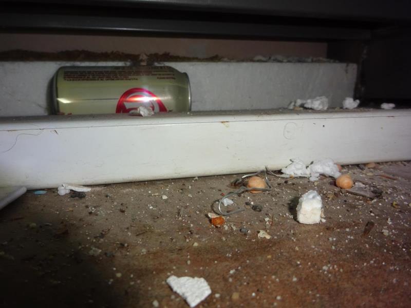 Ilustrační fotografie č. 8