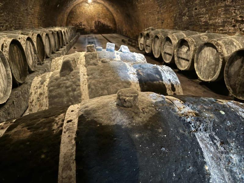 Ilustrační fotografie č. 7