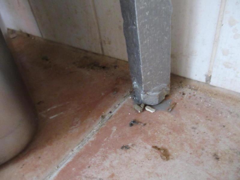 Ilustrační fotografie č. 5