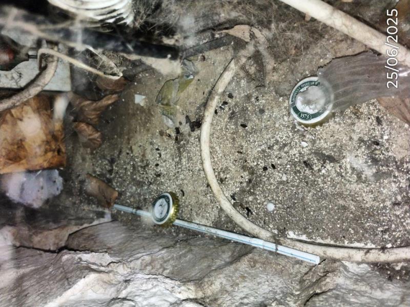 Ilustrační fotografie č. 12