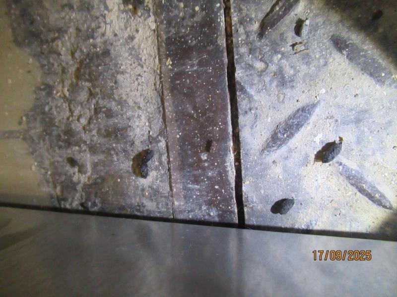 Ilustrační fotografie č. 11