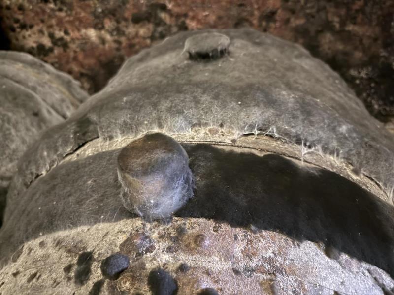 Ilustrační fotografie č. 15