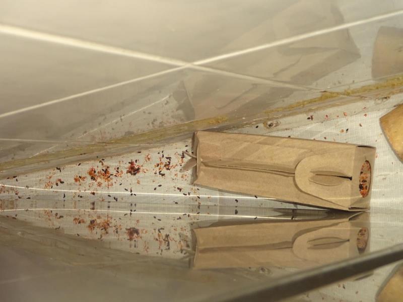 Ilustrační fotografie č. 6