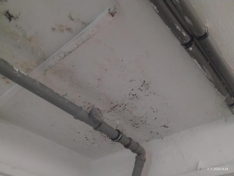 Ilustrační fotografie č. 18