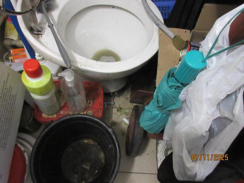 Ilustrační fotografie č. 3