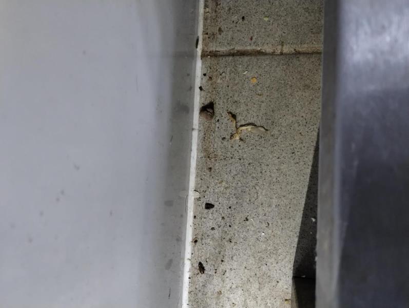 Ilustrační fotografie č. 9