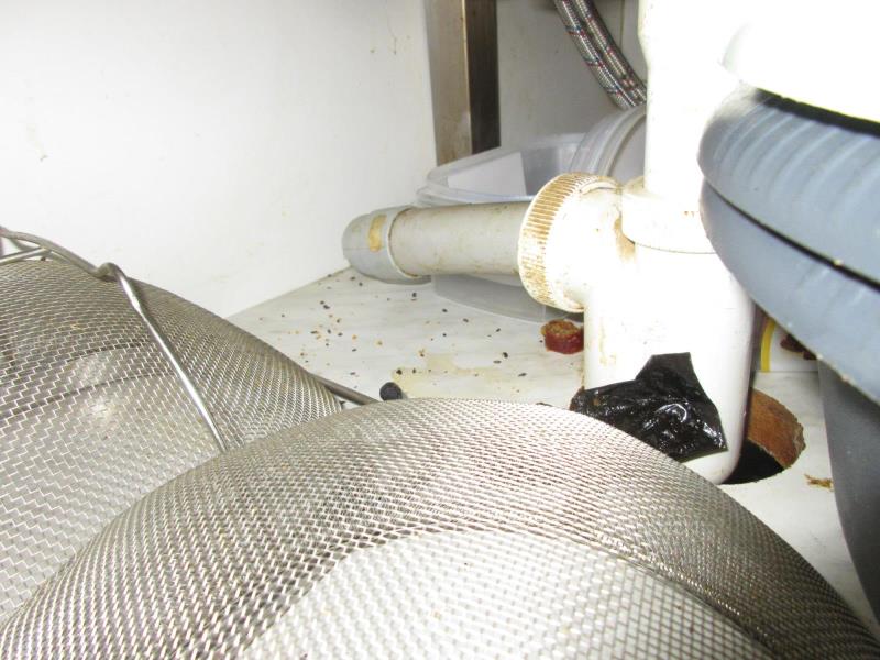 Illustrative photo no. 8