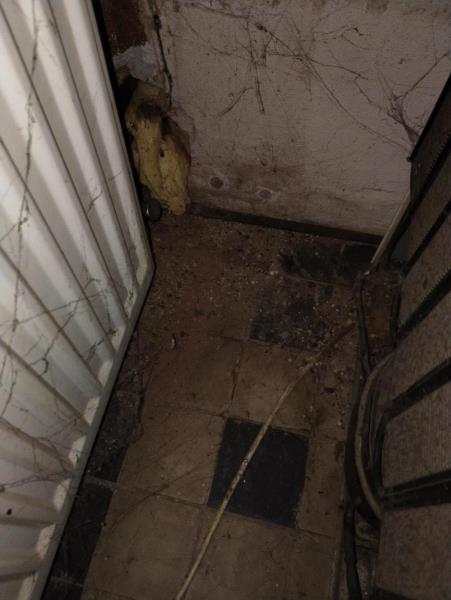 Ilustrační fotografie č. 20