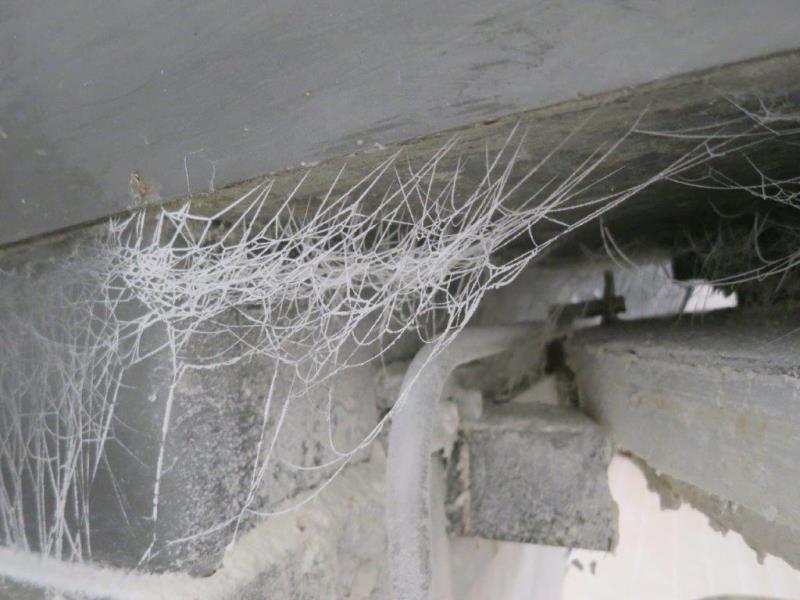 Ilustrační fotografie č. 15