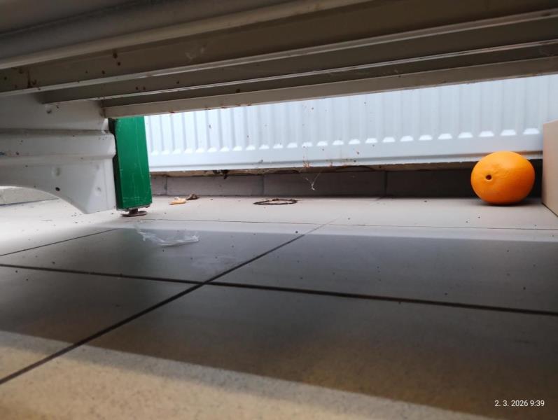 Ilustrační fotografie č. 2