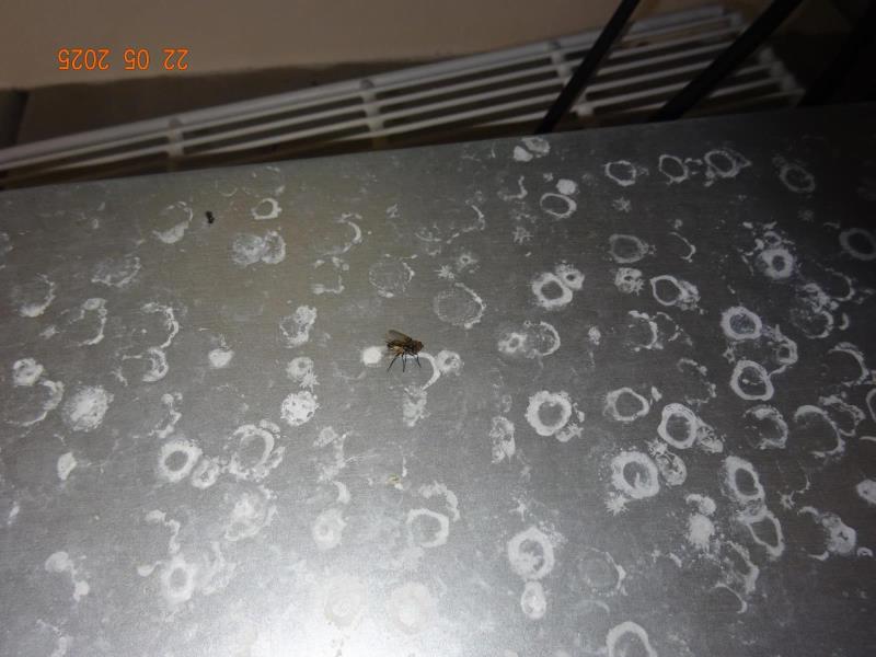 Illustrative photo no. 20